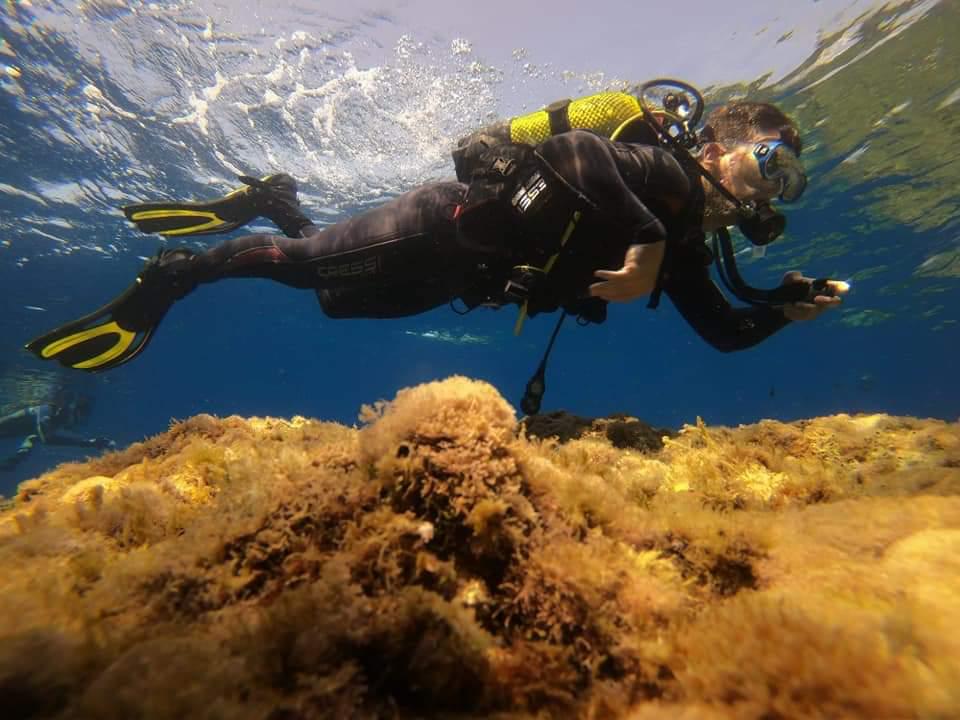 Buceo en La Herradura - Nerja Dive Resort