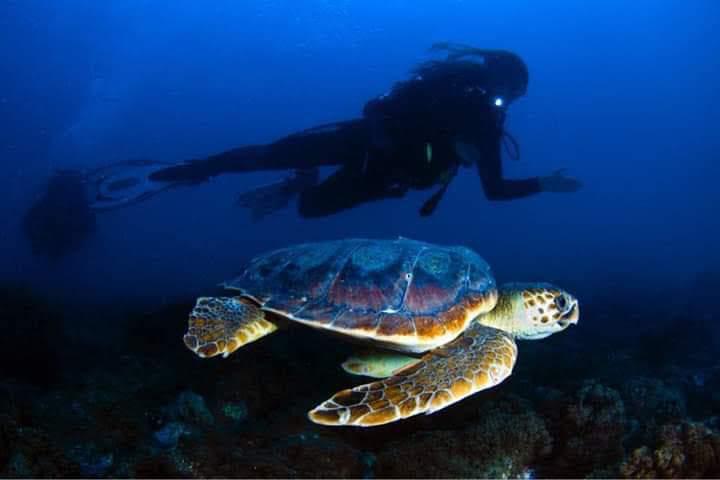 Buceo en La Herradura - Nerja Dive Resort