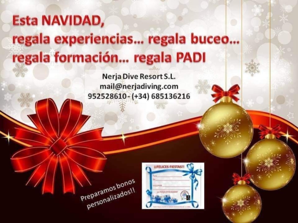 Regalo Navidad